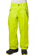 Pantalon de ski Oakley Shelf Life Vert